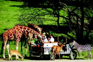 Road-tripping With Small Children